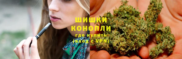 ALPHA-PVP Заводоуковск