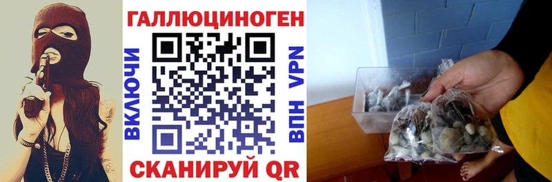Галлюциногенные грибы мухоморы Касимов