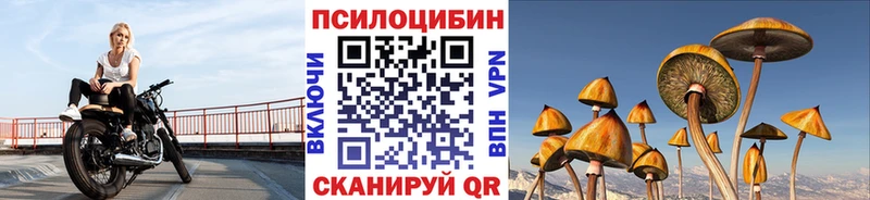 Галлюциногенные грибы Psilocybine cubensis  Касимов 