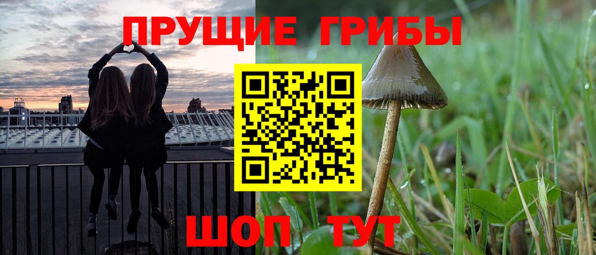 Галлюциногенные грибы Psilocybine cubensis Касимов