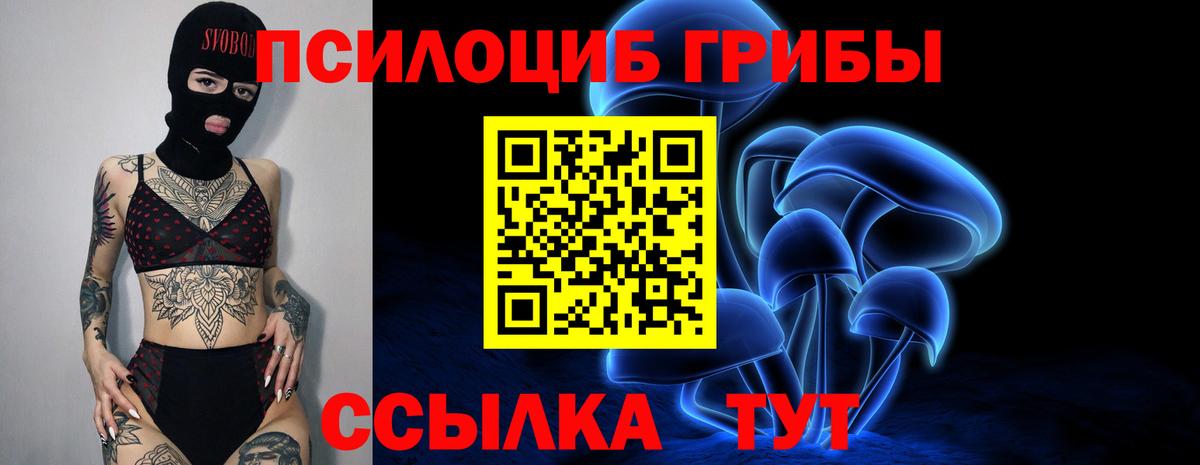 Псилоцибиновые грибы Psilocybe  Вход с VPN  цена наркотик  Касимов  Псилоцибиновые грибы Cubensis 